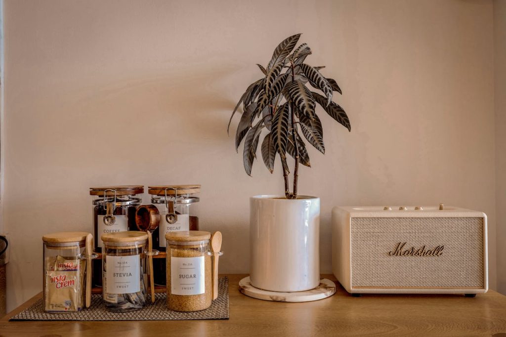 cozy-interior-with-coffee-jars-and-vintage-speaker-29559660 Aesthetic indoor setup with coffee jars, potted plant, and retro speaker.